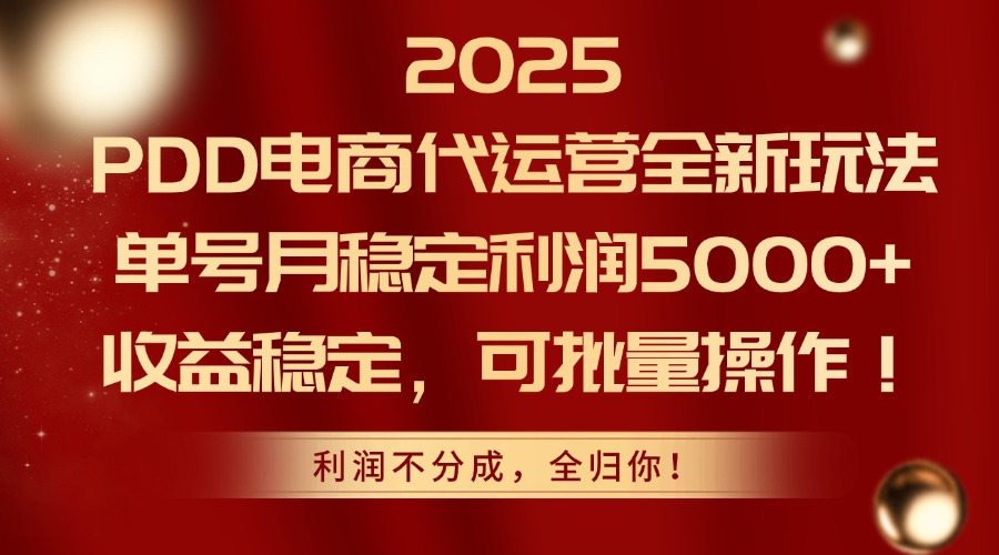 2025PDD电商代运营全新玩法，单号月稳定利润5000+，收益稳定，可批量操作-创领云聚