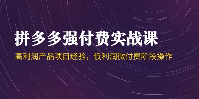 拼多多强付费实战课-44期，高利润产品项目经验，低利润微付费阶段操作-创领云聚