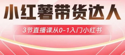 小红薯达人带货启航计划，3节直播课从0-1入门小红书-创领云聚