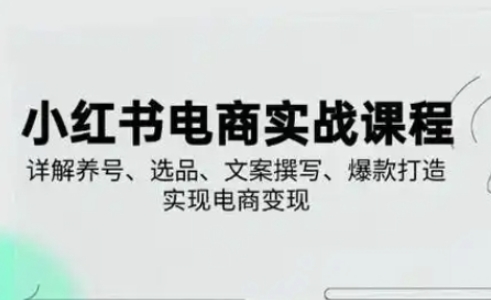 小红书从0-1实操课(2023-2025)，详解养号、选品、文案撰写、爆款打造实现电商变现-创领云聚