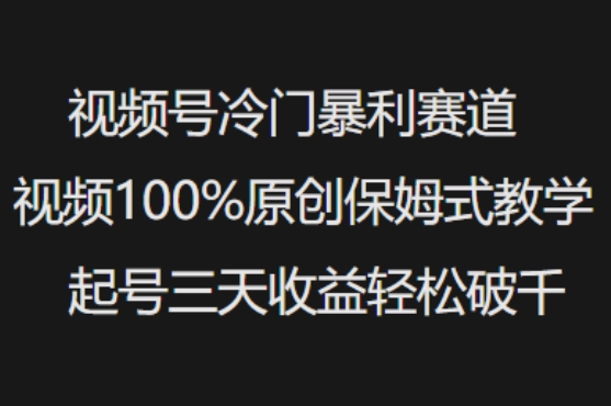 视频号冷门暴利赛道视频100%原创保姆式教学起号三天收益轻松破千-创领云聚