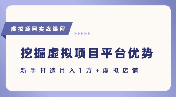 抓住虚拟项目各平台优势，新手轻松月入1W+(给出具体建议)-创领云聚