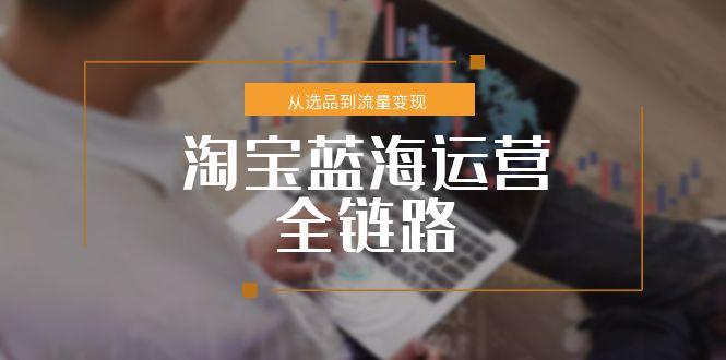 淘宝蓝海运营全链路，从选品到流量变现，小类目突围完整方案-创领云聚