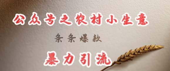 deepseek写农村小项目，条条爆款，暴力引流-创领云聚