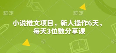 小说推文项目，新人操作6天，每天3位数分享课-创领云聚