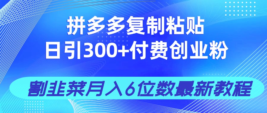 拼多多复制粘贴日引300+付费创业粉，割韭菜月入6位数最新教程！-创领云聚