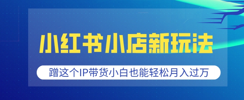 小红书小店新玩法，蹭这个IP带货，小白也能轻松月入过W【揭秘】-创领云聚