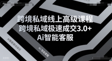 跨境私域线上高级课程，跨境私域极速成交3.0+Ai智能客服-创领云聚