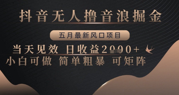 抖音无人撸音浪掘金，五月最新风口项目，当天见效，日收益多张，小白可做简单粗暴可矩阵【揭秘】-创领云聚