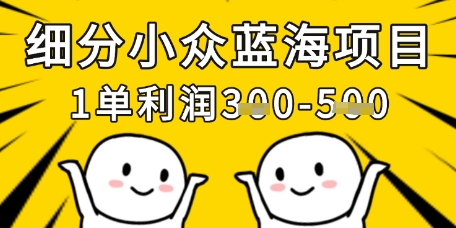细分小众蓝海项目，一单利润3张，每月收入稳定过1w+-创领云聚