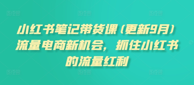 小红书笔记带货课(更新25年4月)流量电商新机会，抓住小红书的流量红利-创领云聚