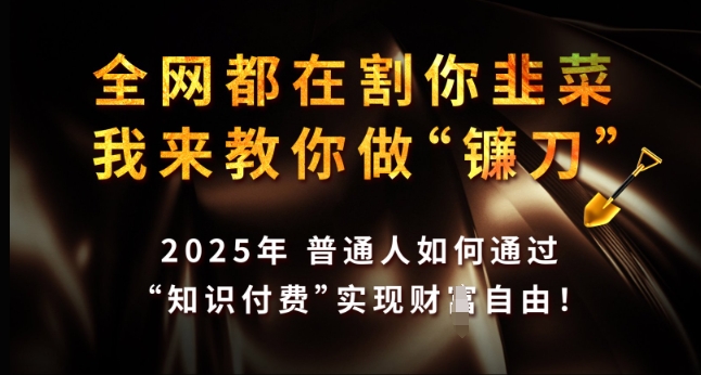全网都在割你韭菜，我来教你做镰刀，2025年普通人如何通过 知识付费 实现财F自由【揭秘】-创领云聚
