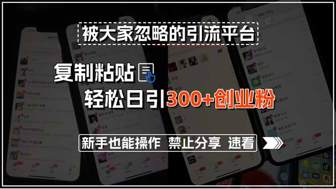 被大家忽略的引流平台，复制粘贴轻松日引300+创业粉，新手也能操作，禁…-创领云聚