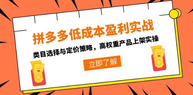 拼多多低成本盈利实战，类目选择与定价策略，高权重产品上架实操-创领云聚