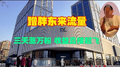 蹭胖东来流量，三天涨万粉，收益直接起飞-创领云聚