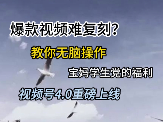 视频号4.0重磅上线，爆款视频难复刻？教你无脑操作宝妈学生党的福利【揭秘】-创领云聚