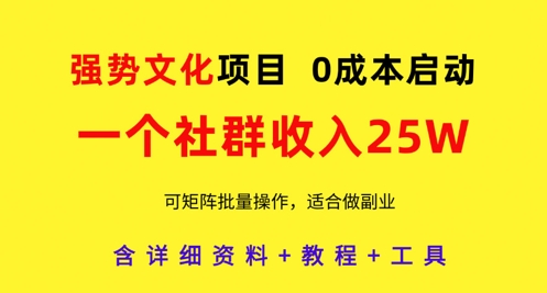 强势文化项目，一个社群收入25个W，0成本启动，可矩阵批量操作，原创详细实操教程-创领云聚