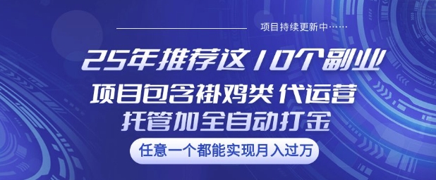 25年推荐这10个副业项目包含褂鸡类、代运营托管类、全自动打金类【揭秘】-创领云聚