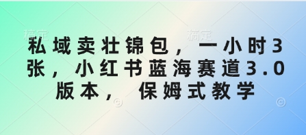 私域卖壮锦包，一小时3张，小红书蓝海赛道3.0版本， 保姆式教学-创领云聚