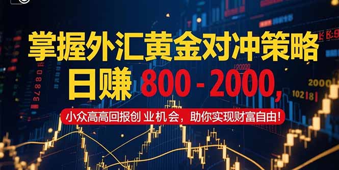掌握外汇黄金对冲策略，日赚 800 – 2000，小众高回报创业机会，助你实…-创领云聚