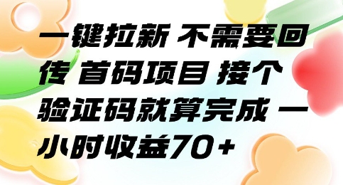 一键拉新 不需要回传 首码项目 接个验证码就算完成 一小时收益70+【揭秘】-创领云聚