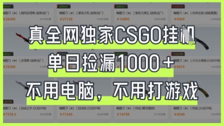 真全网独家CSGO挂G，单日捡漏1k+【揭秘】-创领云聚