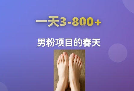 AI一键生成美女素材，一天收益3-8张，男粉项目的春天-创领云聚