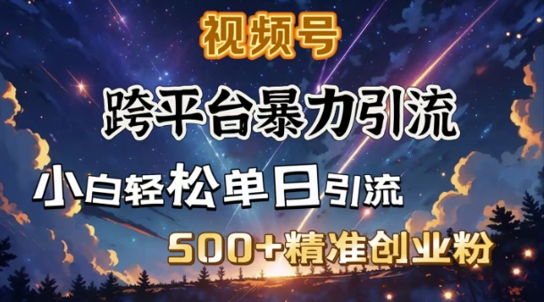 跨平台暴力引流，私域完美闭环，日引500+精准创业粉-创领云聚