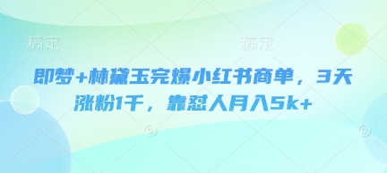即梦+林黛玉完爆小红书商单，3天涨粉1千，靠怼人月入5k+-创领云聚