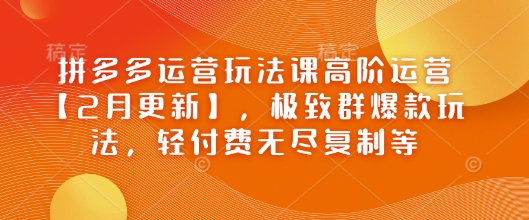拼多多运营玩法课高阶运营【2月更新】，极致群爆款玩法，轻付费无尽复制等-创领云聚