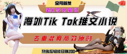 海外tiktok小说推文暴力项目，高停留率，高转化率，上手后一天搞顿饭钱不是问题-创领云聚