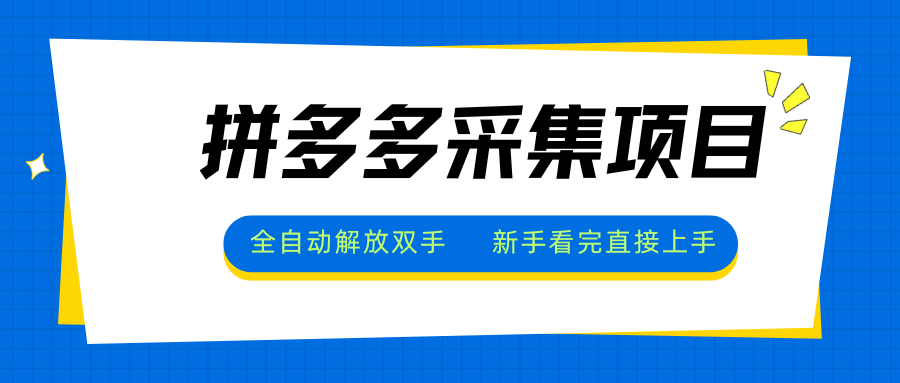 拼多多采集项目，全自动解放双手，单号日入30+-创领云聚