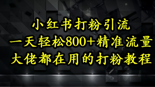 小红书打粉引流，一天轻松500+精准流量，大佬都在用的打粉教程-创领云聚