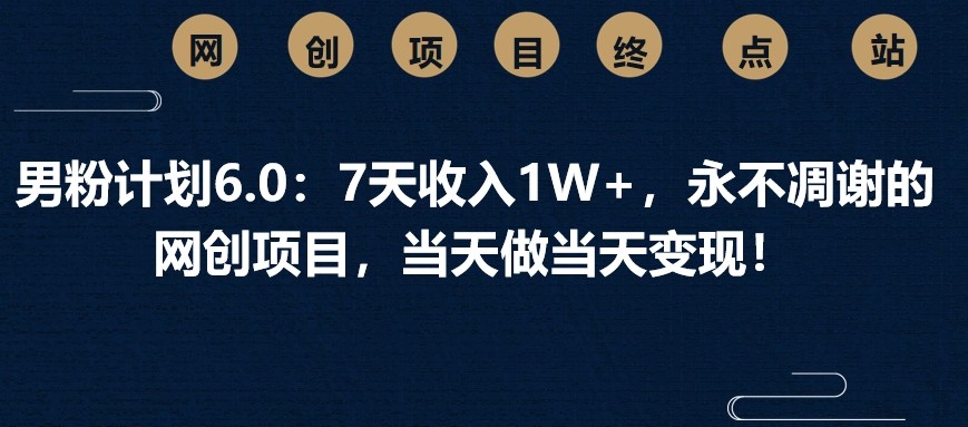 男粉计划6.0：7天收入1W+，永不凋谢的网创项目，当天做当天变现！-创领云聚