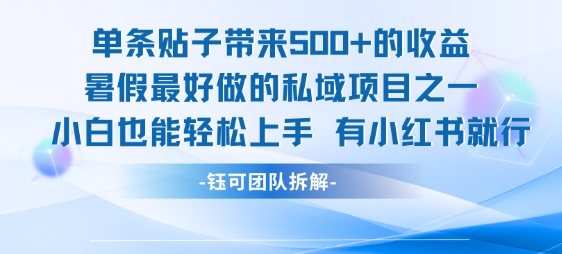 单条贴子带来5张的收益，暑假最好做的私域项目之一，小白也能轻松上手，有小红书就行-创领云聚