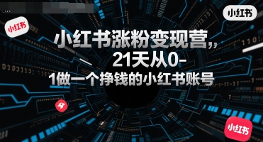 小红书涨粉变现营，21天从0-1做一个挣钱的小红书账号-创领云聚