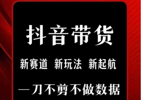抖音短视频一刀不剪带货，不剪辑，不直播，每天发个视频，等着出单获取带货佣金-创领云聚