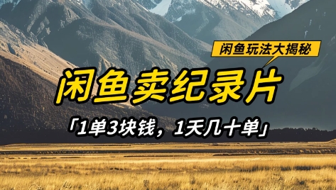 闲鱼卖纪录片1单3块钱，1天几十单，项目稳定有潜力-创领云聚