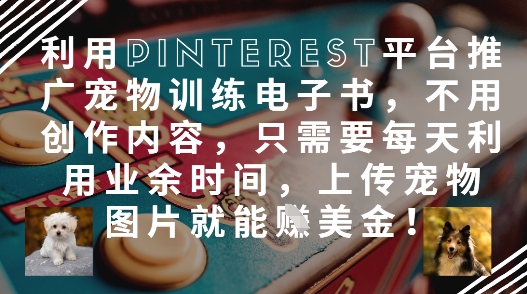 利用Pinterest平台推广宠物训练电子书，不用创作内容，只需要每天利用业余时间，上传宠物图片就能挣美金!-创领云聚
