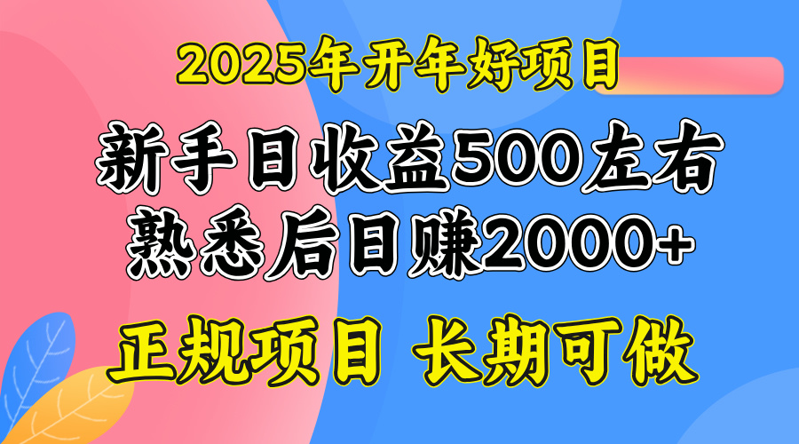 2025开年好项目，单号日收益2000左右-创领云聚