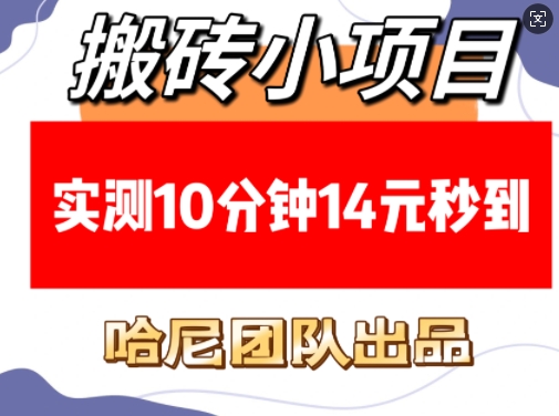 搬砖小项目，实测10分钟14元秒到，每天稳定几张(赠送必看稳定)-创领云聚