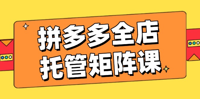 拼多多全店托管矩阵课，盈利动销玩法，高效计划设置，提升店铺效益-创领云聚