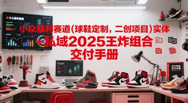 小众暴利赛道(球鞋定制，二创项目)实体+私域2025王炸组合  交付手册-创领云聚