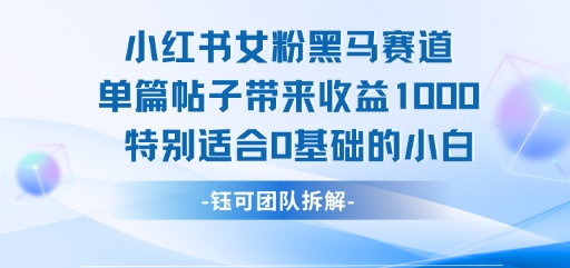 小红书女粉黑马赛道单篇帖子带来收益1k+，特别适合0基础的小白-创领云聚