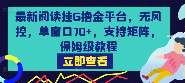 最新阅读挂G撸金平台，无风控，单窗口70+，支持矩阵，保姆级教程【揭秘】-创领云聚