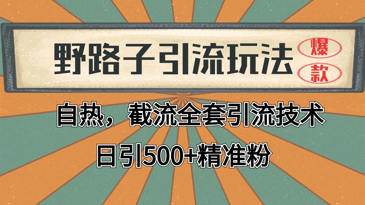 2024首发野路子引流玩法截流自热全平台打法，全自动引流【日引2000+精准客户】-创领云聚