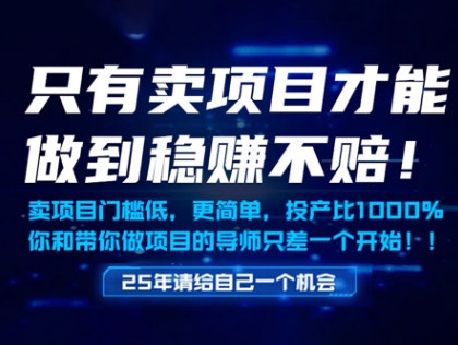 只有卖项目才能做到稳挣不赔，门槛低，更简单，你也可以年入百个W【揭秘】-创领云聚