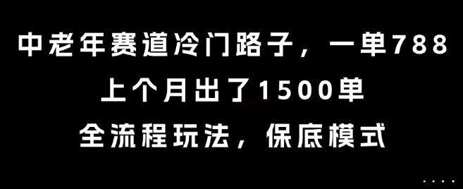 中老年赛道冷门路子，一单788，上个月出了1500单，全流程玩法，保底模式【揭秘】-创领云聚