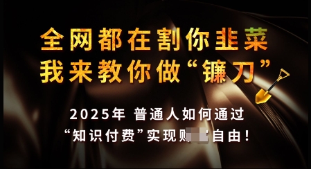 知识付费如何做到月入过W+，2025我来教你做“镰刀”【揭秘】-创领云聚