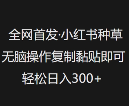 全网首发，小红书种草无脑操作，复制黏贴即可，轻松日入3张-创领云聚